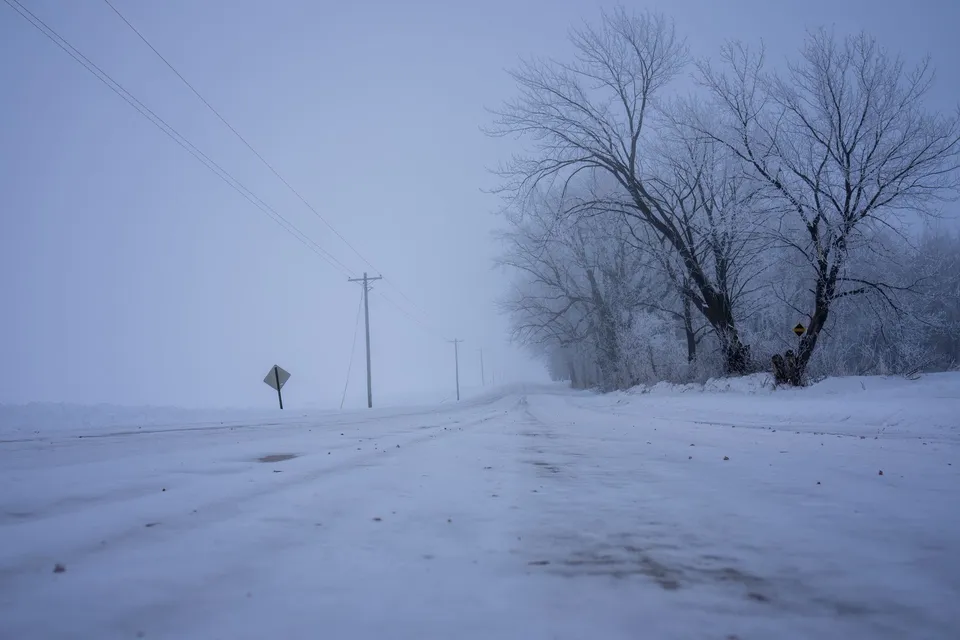A tranquil winter scene of a snow-covered rural road lined with trees in Minnesota, USA.