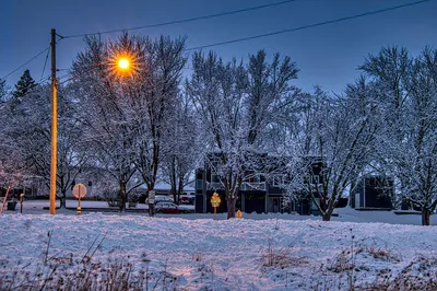 A serene snowy street in Plainview, MN, with trees and street lamps illuminating the winter evening.